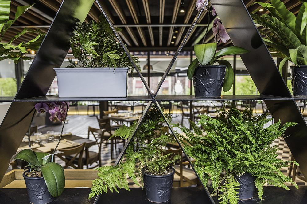 Domingo Santo Hotel Boutique (Adults Only) Mexico City Exterior photo